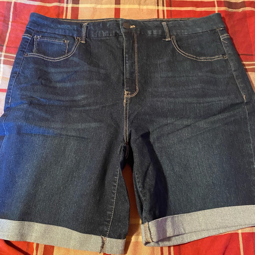NWOT 20w Terra and sky jean short